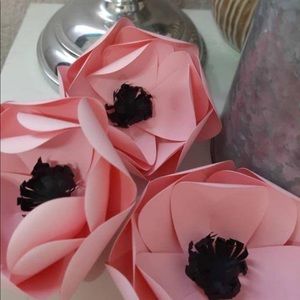 Meet your Posher, Aylin